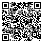 Google Play Store